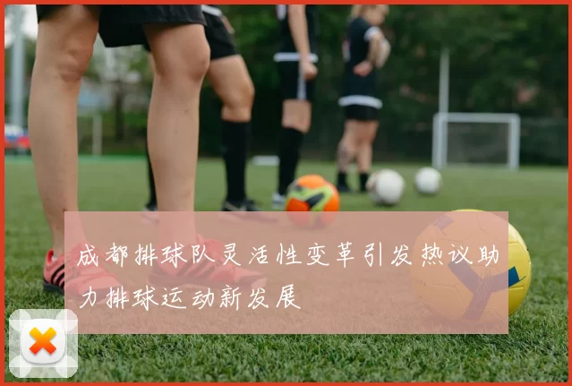 成都排球队灵活性变革引发热议助力排球运动新发展