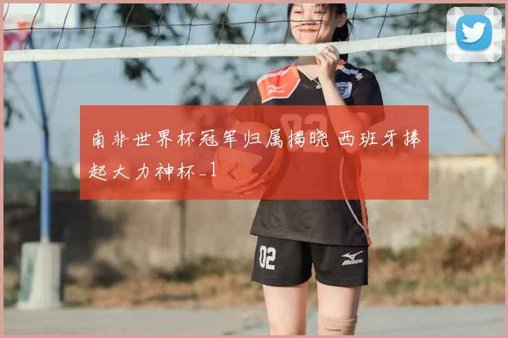 南非世界杯冠军归属揭晓 西班牙捧起大力神杯_1