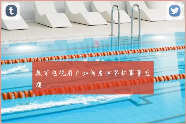 数字电视用户如何看世界杯赛事直播