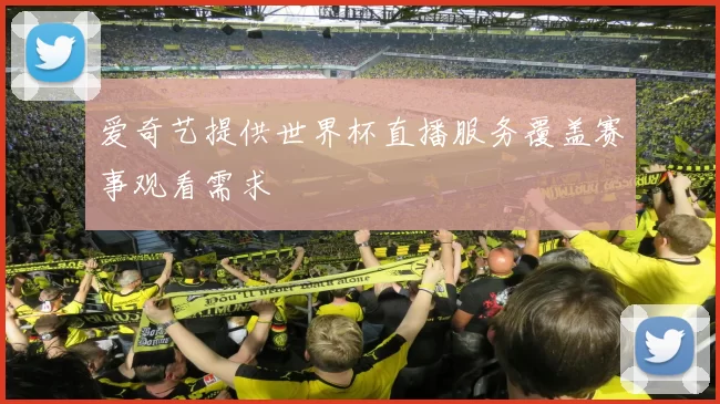 爱奇艺提供世界杯直播服务覆盖赛事观看需求
