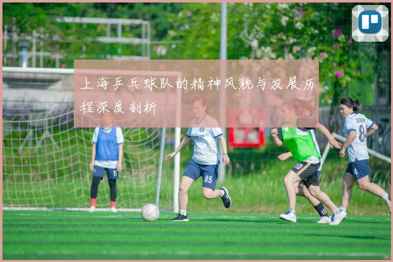 上海乒乓球队的精神风貌与发展历程深度剖析