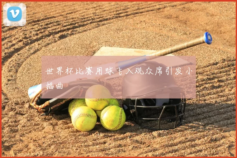 世界杯比赛用球飞入观众席引发小插曲