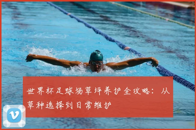 世界杯足球场草坪养护全攻略:从草种选择到日常维护