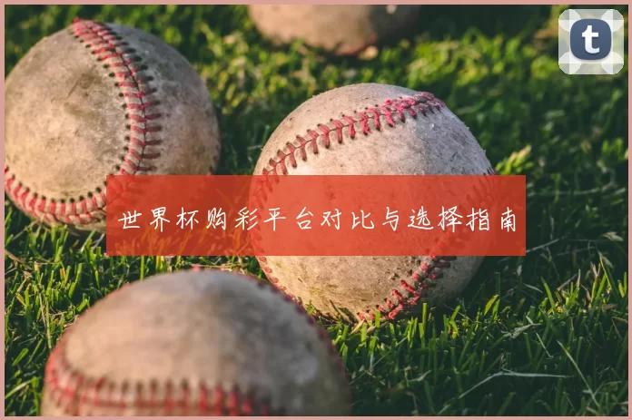 世界杯购彩平台对比与选择指南