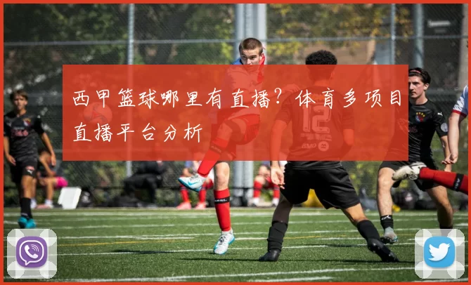 西甲篮球哪里有直播？体育多项目直播平台分析