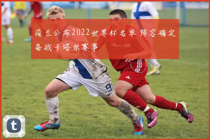 荷兰公布2022世界杯名单 阵容确定备战卡塔尔赛事