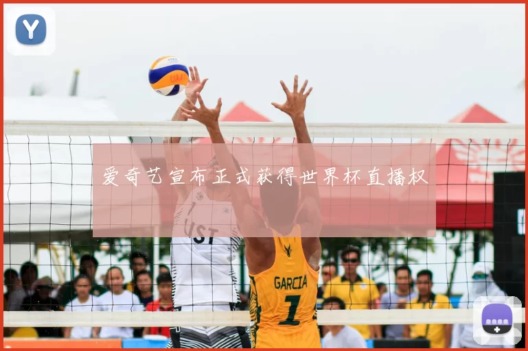 爱奇艺宣布正式获得世界杯直播权