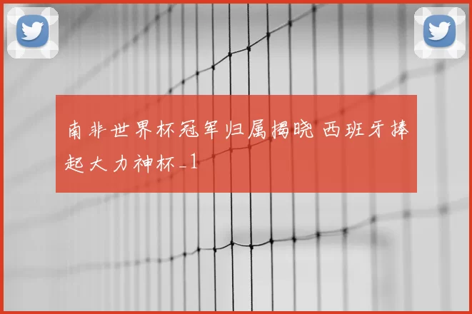 南非世界杯冠军归属揭晓 西班牙捧起大力神杯_1
