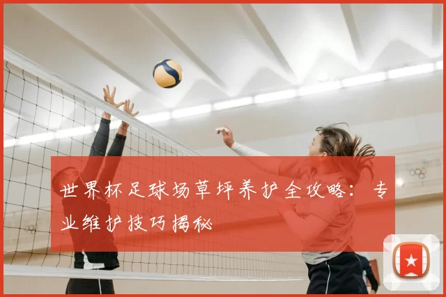世界杯足球场草坪养护全攻略:专业维护技巧揭秘