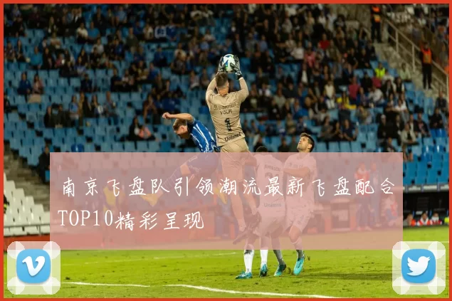南京飞盘队引领潮流最新飞盘配合TOP10精彩呈现