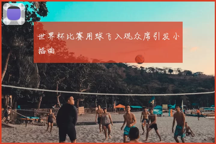 世界杯比赛用球飞入观众席引发小插曲