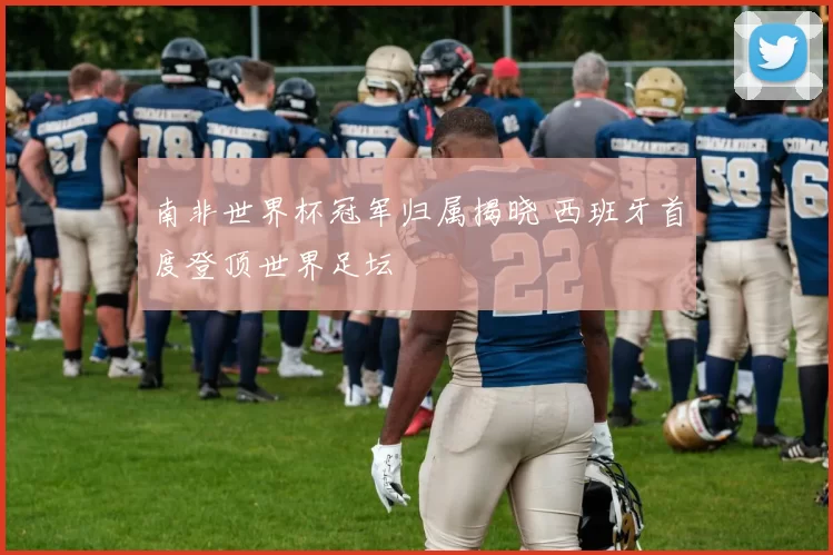 南非世界杯冠军归属揭晓 西班牙首度登顶世界足坛
