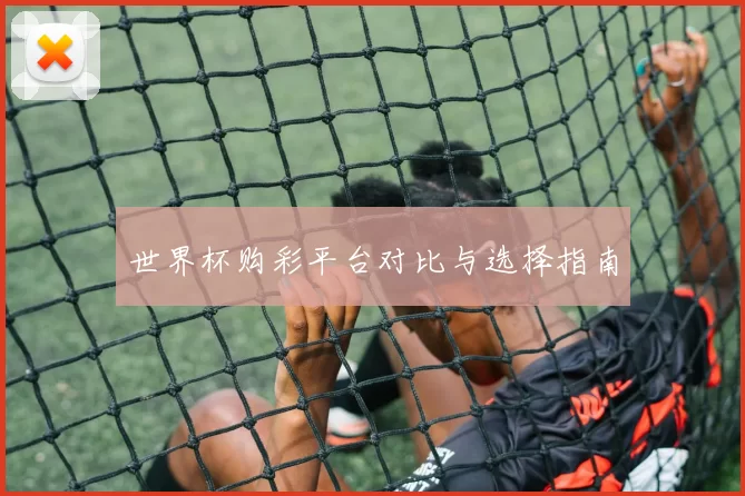 世界杯购彩平台对比与选择指南