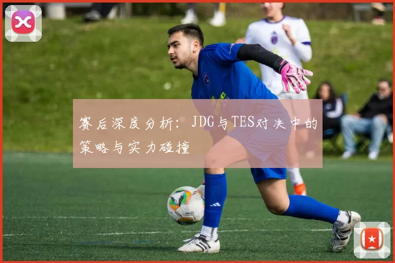 赛后深度分析：JDG与TES对决中的策略与实力碰撞