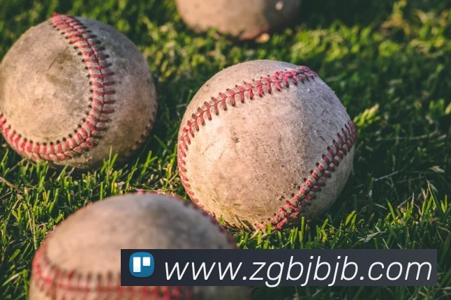 pp电子服务体系